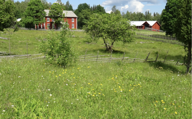 Dagsutflykt till Tiskaretjärn